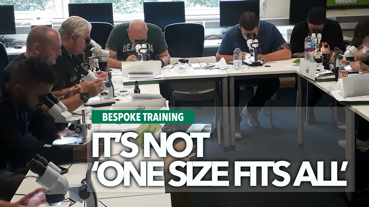 bespoke training bespoke training